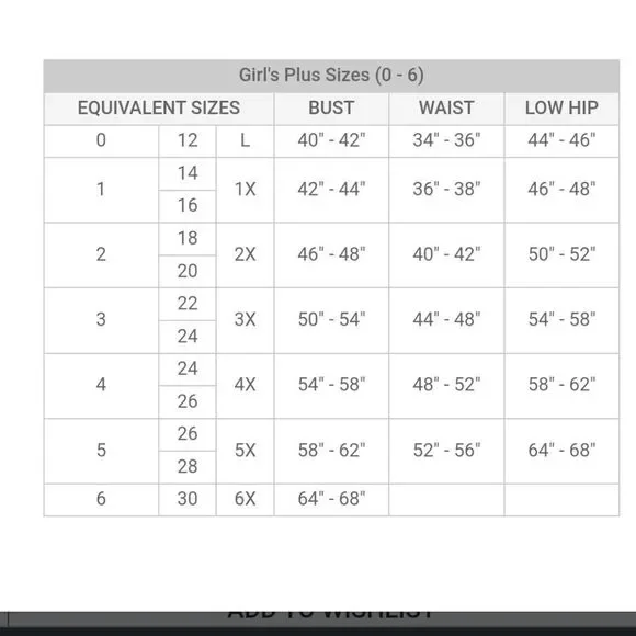 NWT Totoro Dress - Picture 4 of 5